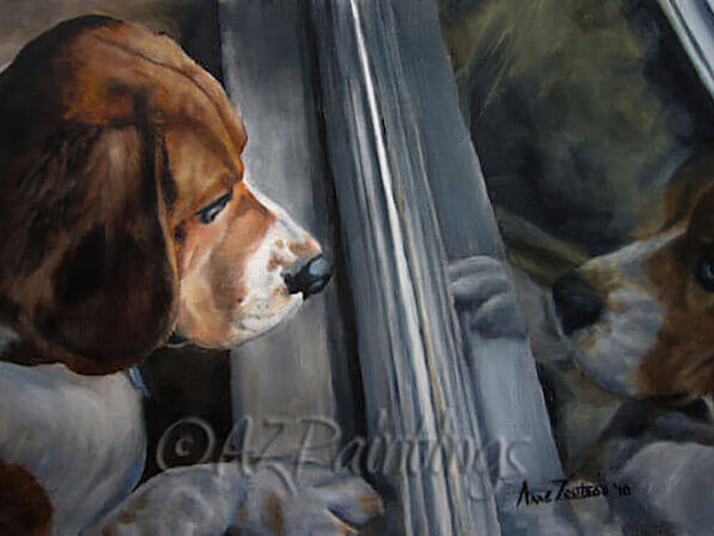 Beagle's Window