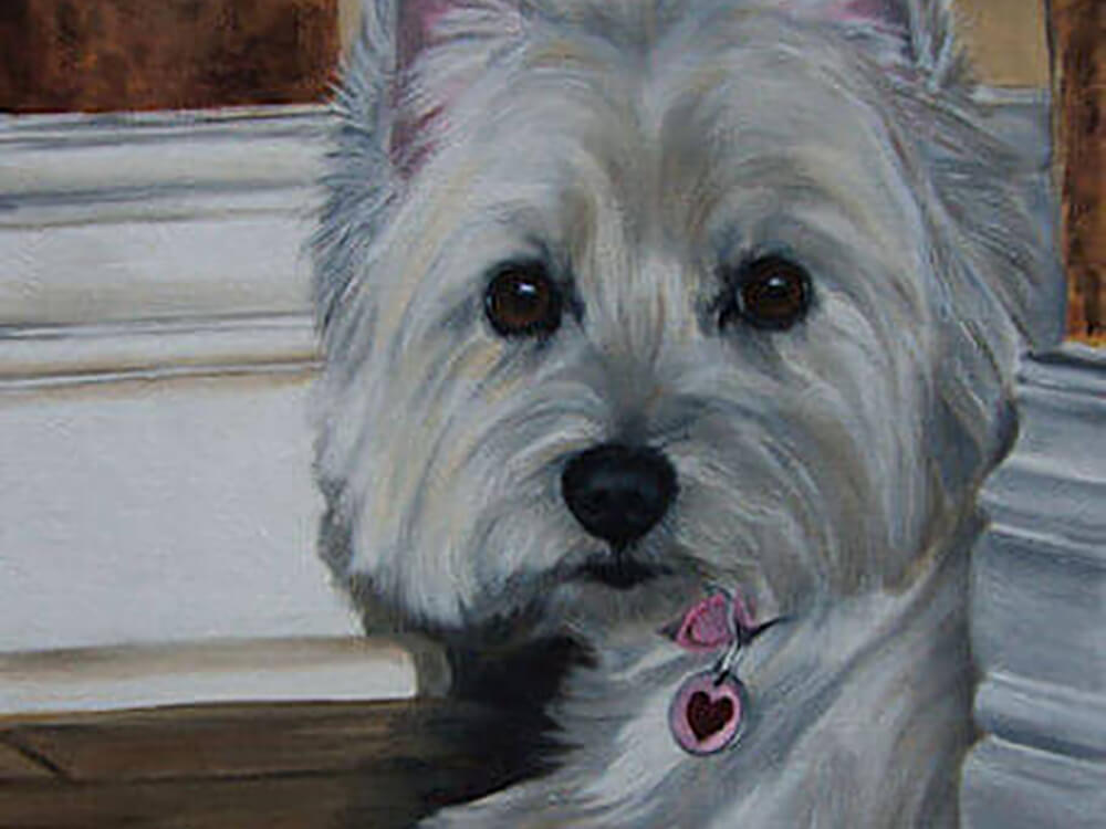 Westie