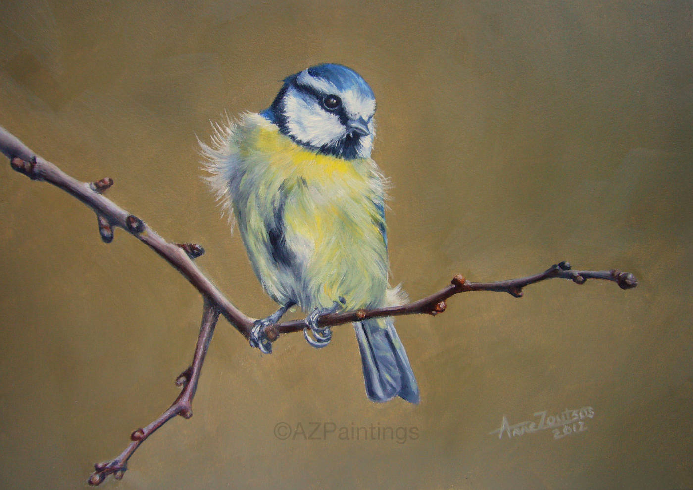 Small Blue Tit perched on a bare branch