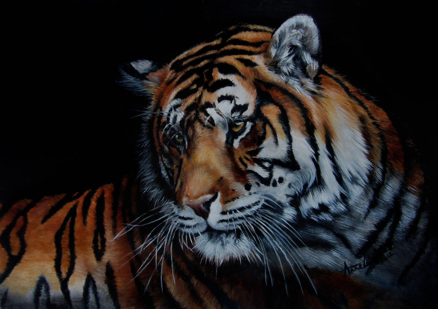 A tiger in profile, lit against a dark background