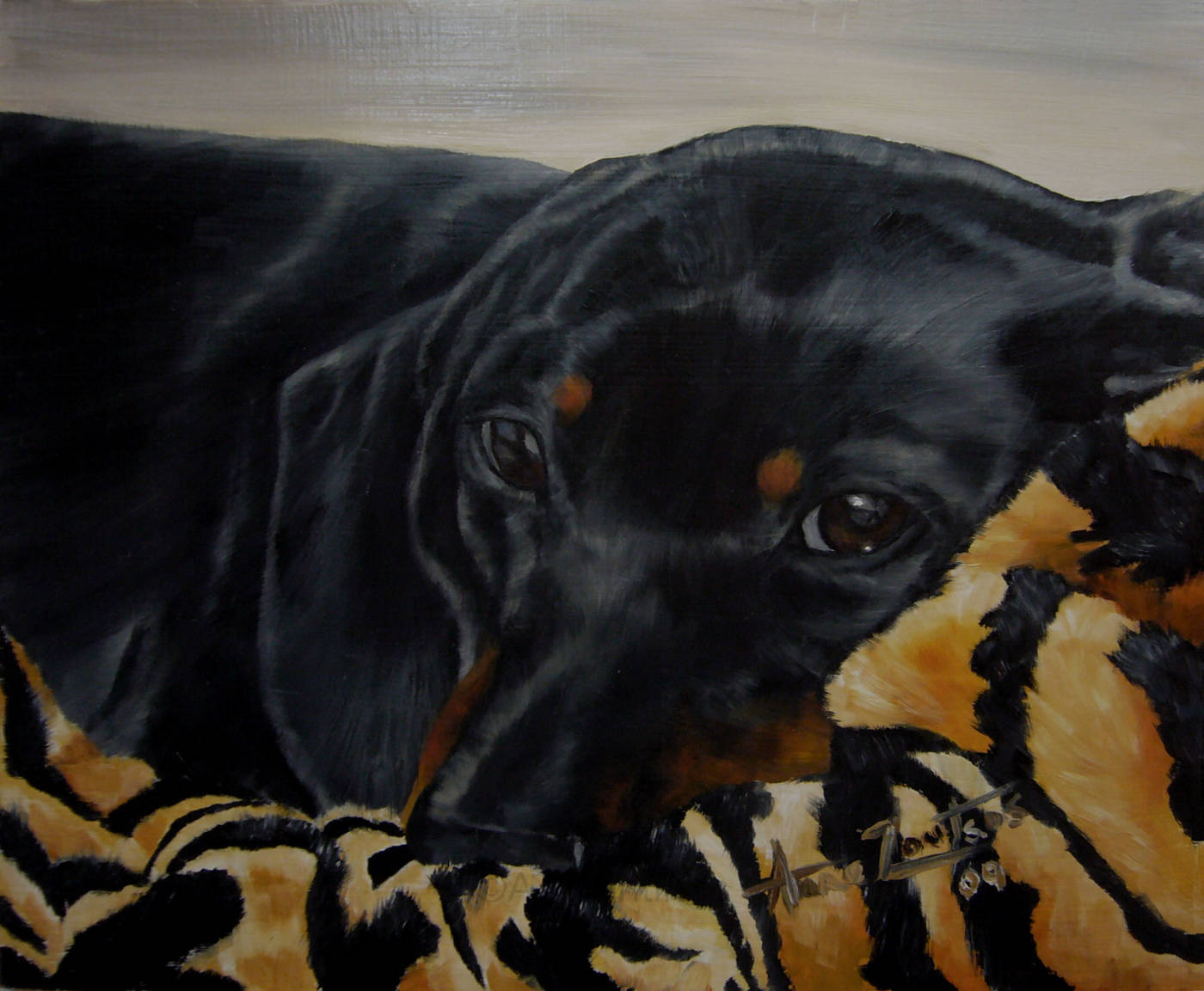 Dachshund resting on a cosy patterned blanket