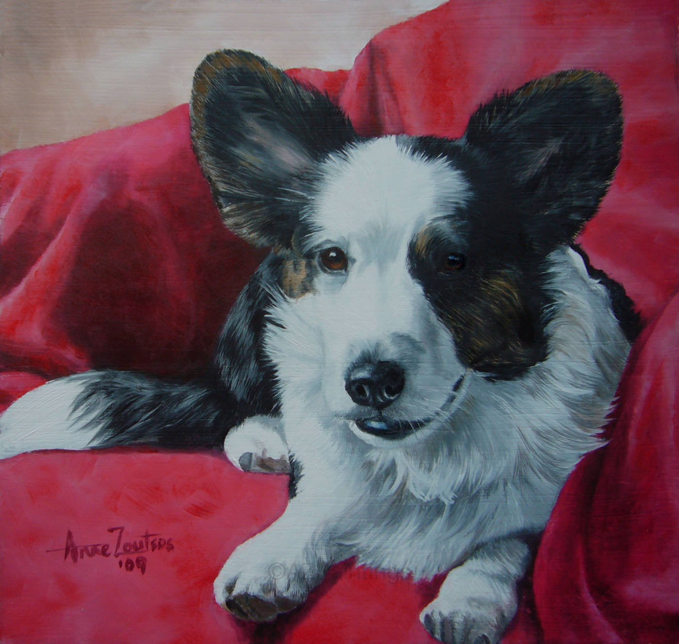 A relaxed corgi nestled into deep red blankets