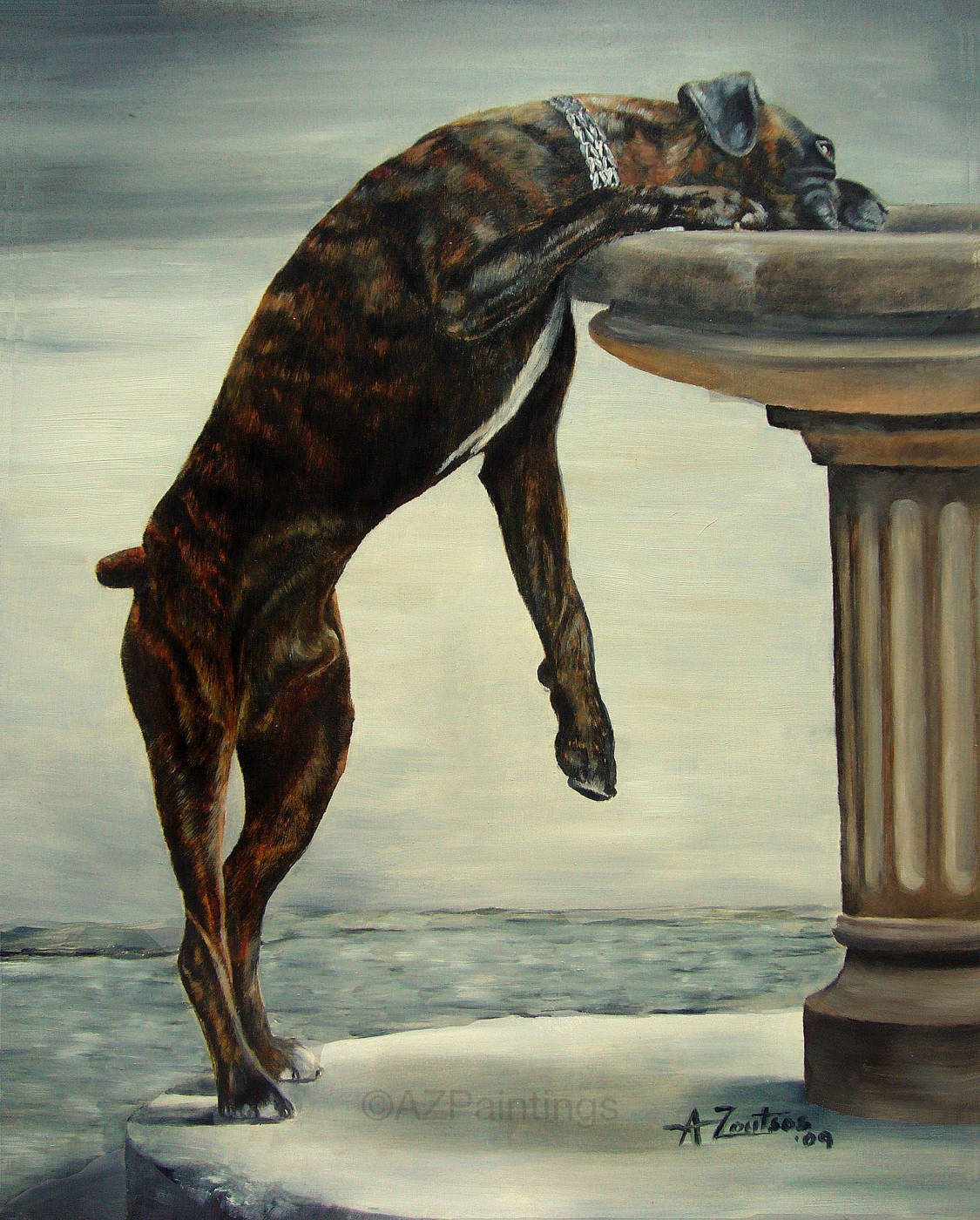 Boxer dog standing on his back legs to drink from a water fountain