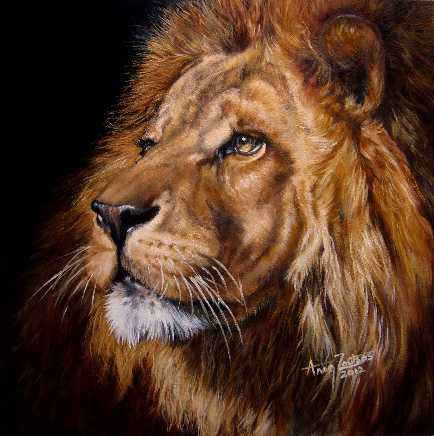 A striking portrait of a lion with an intense, focused stare, his mane lit with warm highlights