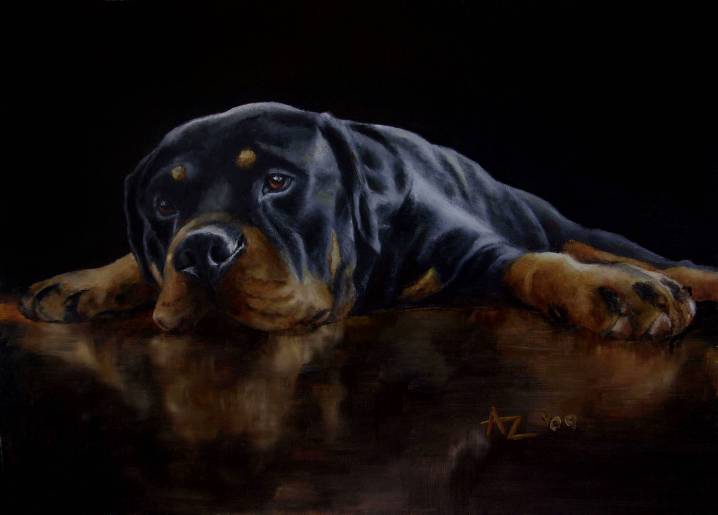 A rottweiler resting on a polished dark floor with its reflection visible beneath it