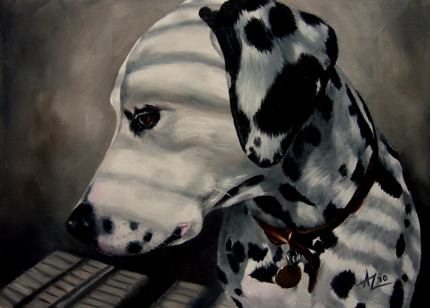 A Dalmatian in soft side lighting, its coat crossed by striped shadows