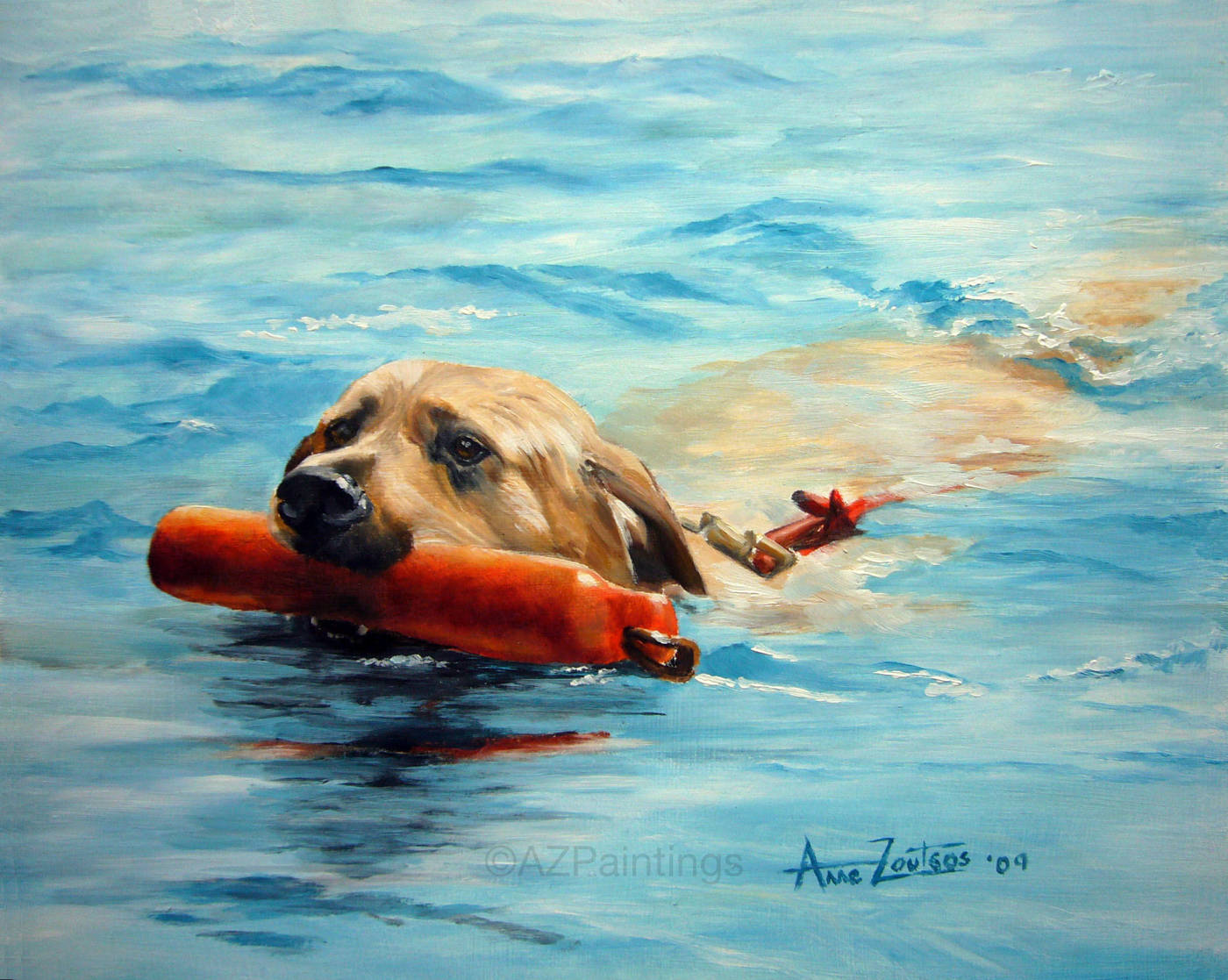 Yellow Labrador swimming while holding a training dummy in its mouth