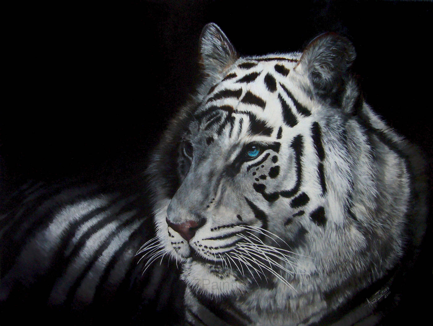 Portrait of a white tiger against a black background with striking blue eyes