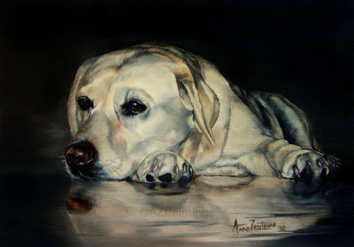 A Labrador with its head resting on the floor, its reflection visible on the shiny surface